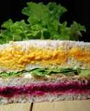 Sándwich colorido