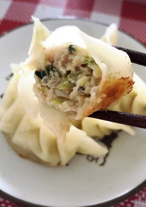 Foto resep Gyoza Ayam (Resep asli dari Jepang)