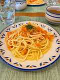 Fresh tomato and mozzarella pasta 🍝 - Lunch idea for busy weekdays💡-
