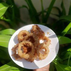 A picture of Onion rings.