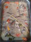 Garang Asem Ati Ampela