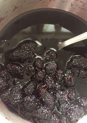 Foto resep Sirup buah murbei (mulberry)