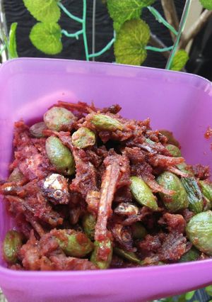 Foto resep Sambal pete teri