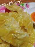 Dumpling chicken