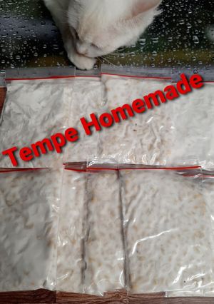 Foto resep Tempe Bikinan Sendiri