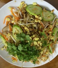 gỏi sứa thịt heo