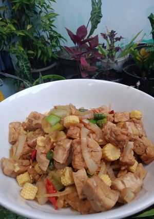 Foto resep Tempeh with Teriyaki Sauce (Menu Diet)