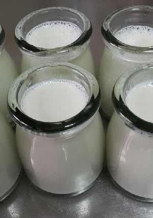 鮮奶酪 的食譜成品照片