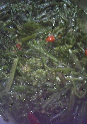 Foto resep Tumis Pakis No MSg