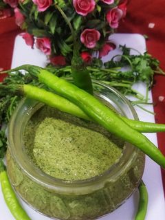 ફુદીના ની ચટણી (Pudina Chutney Recipe In Gujarati) રેસીપી મુખ્ય ફોટો