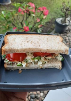 Foto resep Sandwich for diet - sarapan sehat tetap kenyang satu harian NO MINYAK