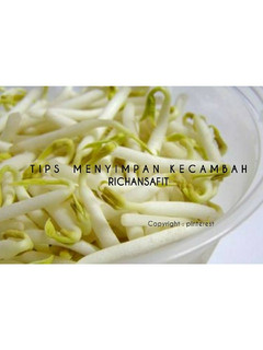 Foto resep Tips menyimpan kecambah