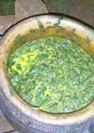 A picture of Kunde na Mrenda.