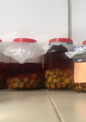 รูปของ Umeshu หรือเหล้าบ๊วย