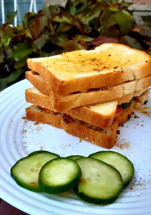 A picture of Pulled Chicken Sandwich.