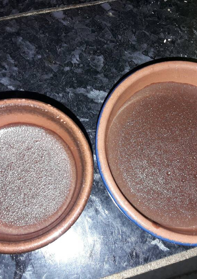 Una foto de Yogures de colacao  o Nesquik