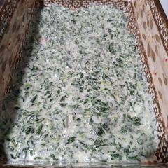 A picture of Bechamel Florentine.