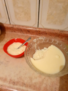 Una foto de Flan con leche descremada