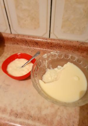 Una foto de Flan con leche descremada