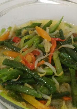 Foto resep Tumis santan/Lodeh sayuran