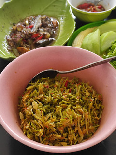 Foto resep Tumis Bunga Pepaya / Tumis Kembang Pepaya