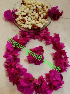 साबूदाना मूंगफली फलाहारी (sabudana moongfali falahari recipe in Hindi) रेसिपी मुख्य फोटो