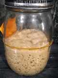Sourdough Starter dari Yeast Water