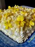 Torta mimosa (gluten free)