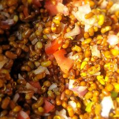A picture of Sprouts chat.