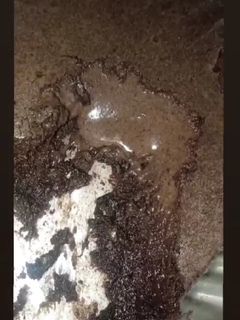 صورة لوصفة اوريو مولتن كيك