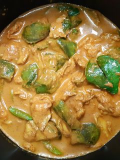 รูปของ แกงเผ็ดไก่ใส่มะเขือยาว
