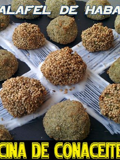Una foto de Falafel de Habas