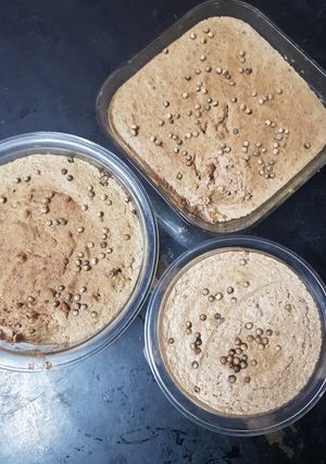 Hình của món Pate Gan Heo.