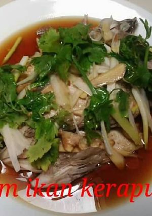 Foto resep Tim Ikan Kerapu