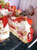 Fraisier japonais 🍓 #avril