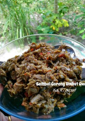 Foto resep Sambal Goreng Umbut Owei #SampitKuliner