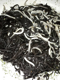 Una foto de Spaghetti de sepia con gulas