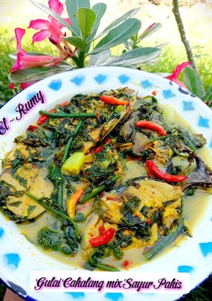 Foto resep Gulai Ikan Cakalang mix Sayur Pakis