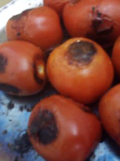 Una foto de Caldillo de jitomate asado para guisos rancheros geras