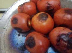 Una foto de Caldillo de jitomate asado para guisos rancheros geras