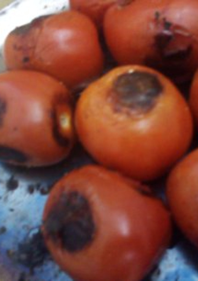 Una foto de Caldillo de jitomate asado para guisos rancheros geras