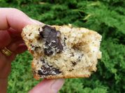 Une photo de yaourt muffin