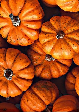 A picture of Pumkin Spice Bars.