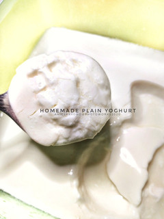 Foto resep Homemade Plain Yoghurt