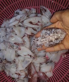 mực xào giá nấm