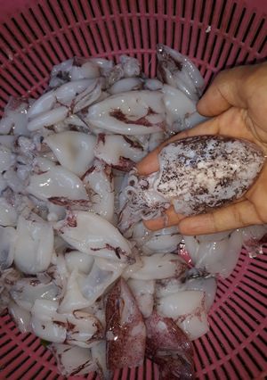 Hình của món Mực xào giá, nấm rơm.