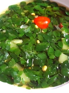 Foto resep Sayur kelor