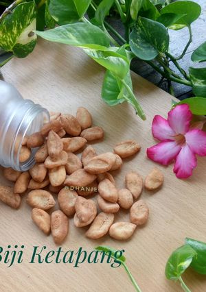 Foto resep Biji Ketapang