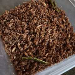 A picture of Abon Ikan Cakalang.