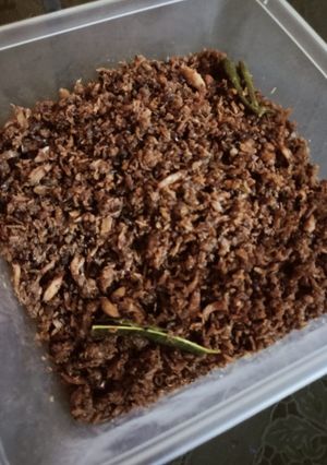 Foto resep Abon Ikan Cakalang